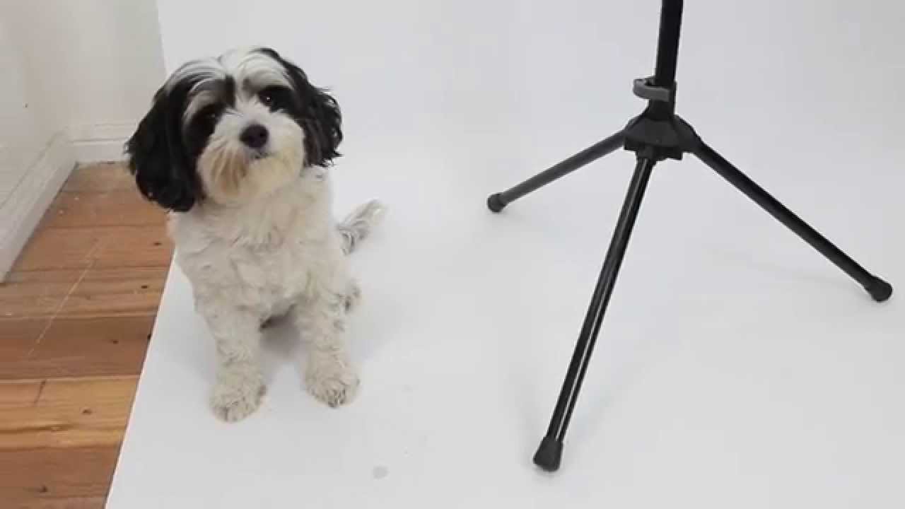 Peak Music Stands Range