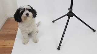 Peak Music Stands SS-20 Aluminum Speaker Stand with Safety Pin Black Peak Music Stands Range