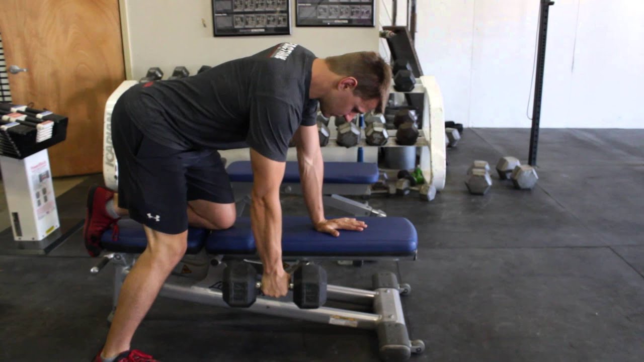 One Arm Dumbbell Rows On Bench Youtube