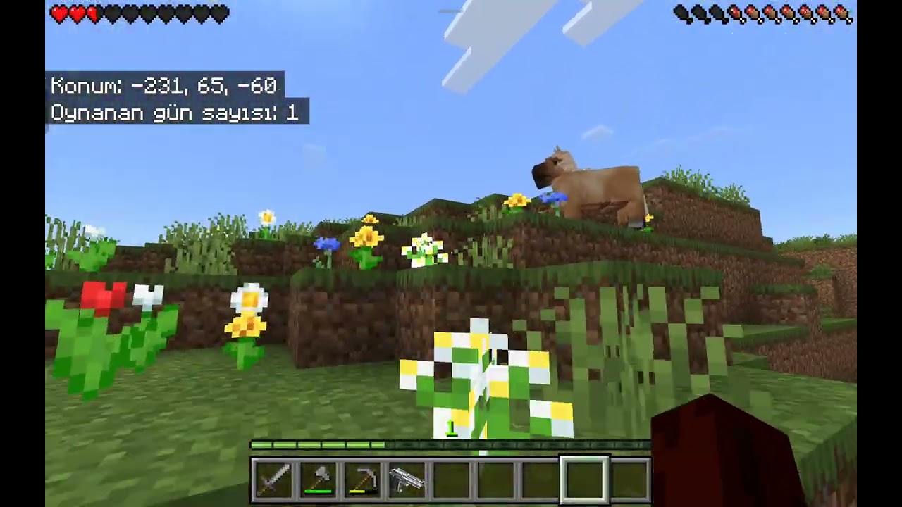 Minecraft oynadım bölüm 1