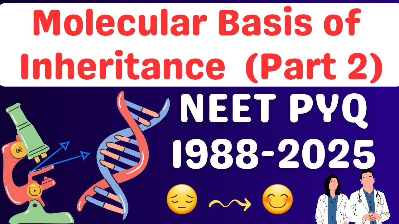 Molecular basis of inheritance class 12 one shot neet pyq part 2 - YouTube