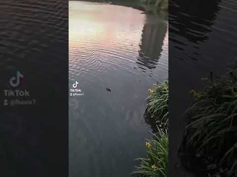 هيا هيا هاي الحياه هيا