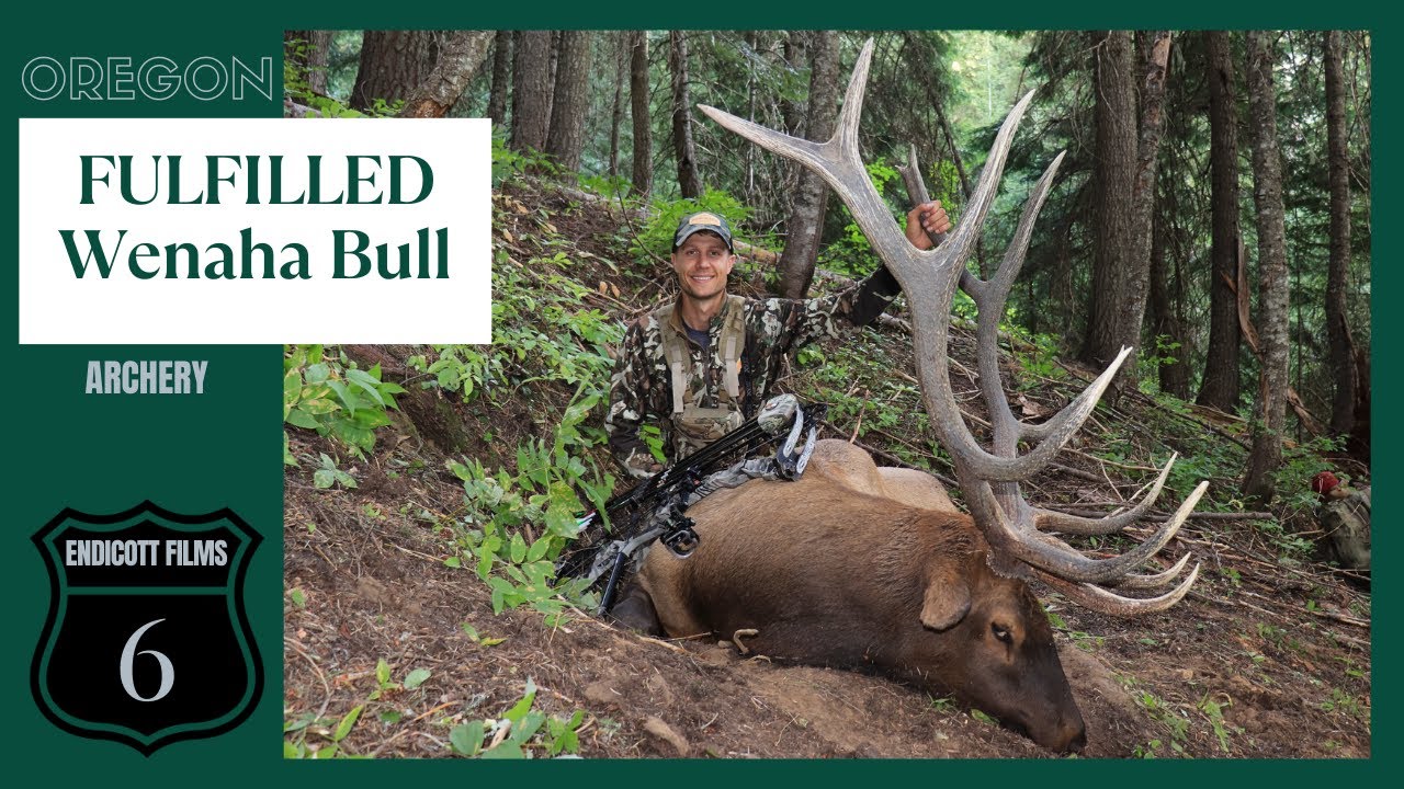 Wenaha Bull Archery Elk Fulfilled YouTube
