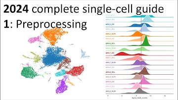 2024 updated single-cell guide - Part 1: RNA preprocessing and quality control