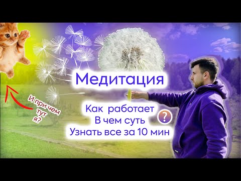 Video: Osnovni Principi Uspješne Meditacije