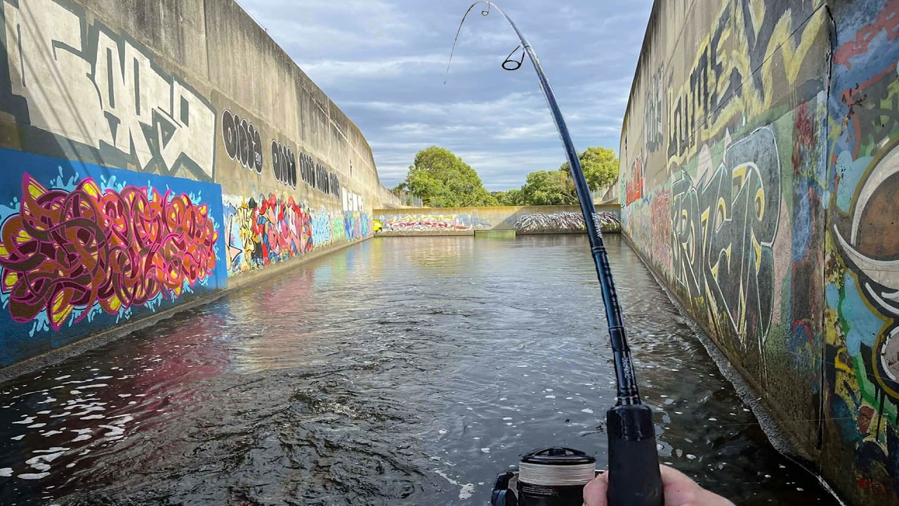 Giant Fish Destroying Melbourne's Hidden Underground Urban Drainage System!