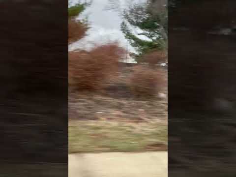 Hillsborough Elementary School 3/16/25