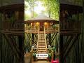 Amazing Bamboo Tree House Build 😍 | Jungle Dream House #youtubeshorts