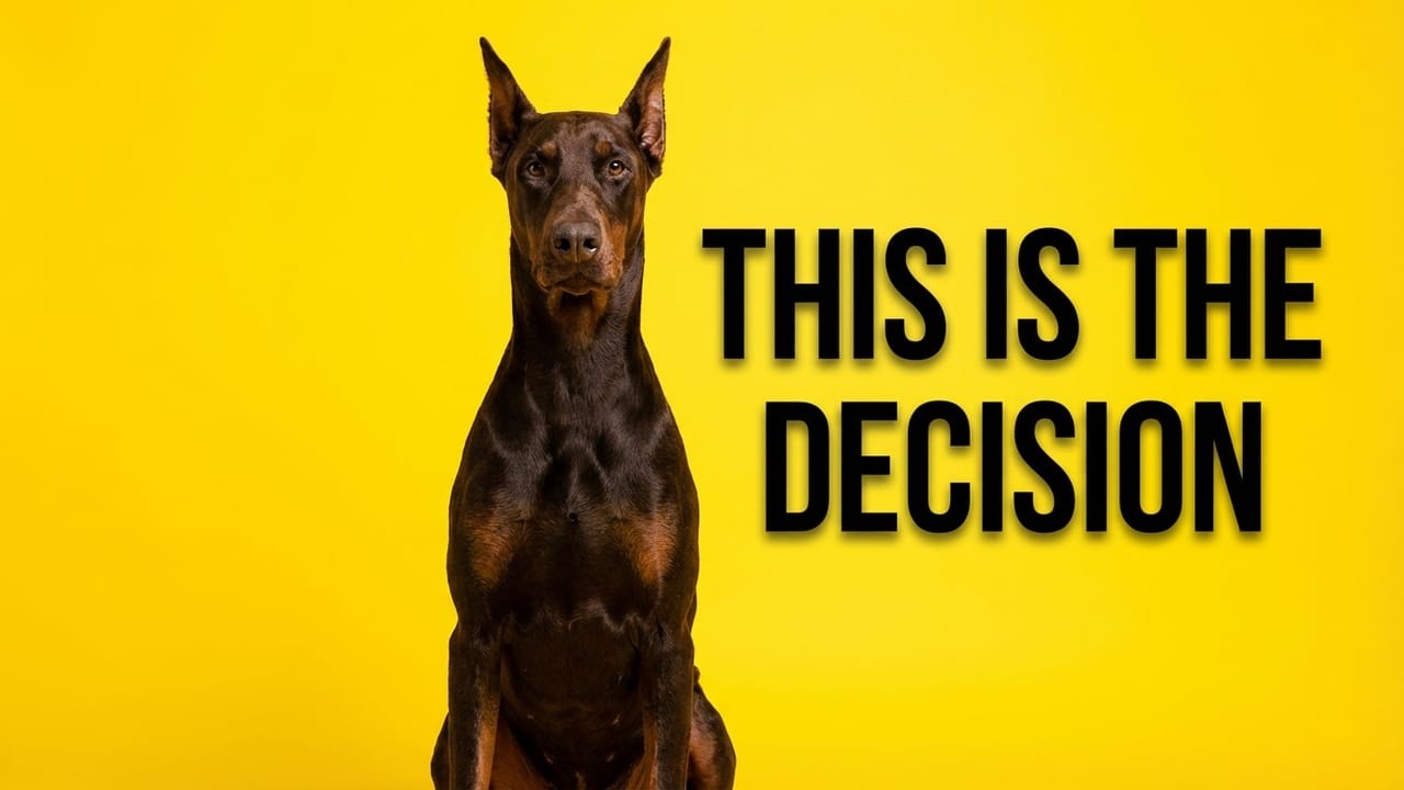 Этап, на котором доберман решает, насколько вы надежны.