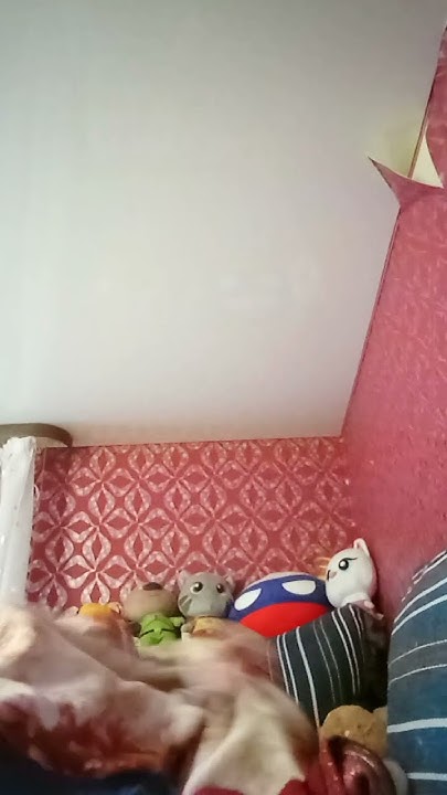 #том #томик #томчик #милый_том - YouTube