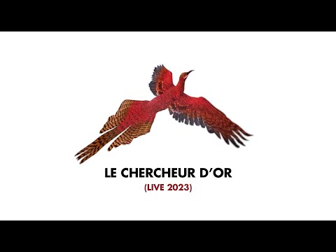 Arthur H - Le chercheur d'or (Audio - Live 2023)