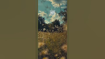 القرآن الكريم/ تلاوة خاشعة/ ترتيل #المصحف #quran #القرآن_الكريم #رمضان #ليلة_القدر