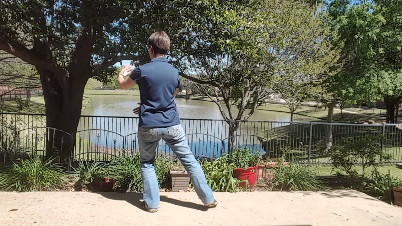 Yang Tai Chi Waving Hands in Clouds; Part 1