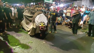 Joki Macan Pak zakik Macan Macanan Barong Oren Penggiling iling live kenjo 