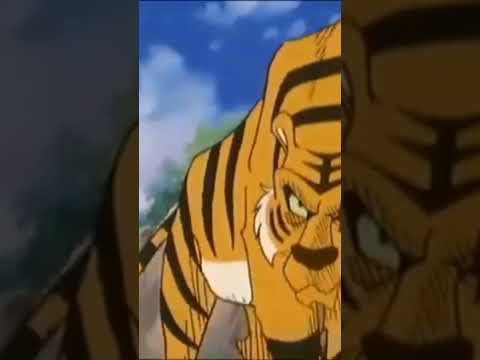 قيتال موكلي ألاخير معا شريخان