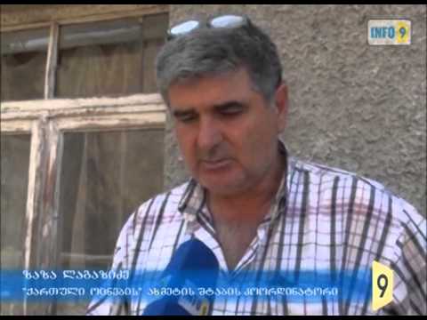 „ქართული ოცნების\" თემატური ჯგუფები