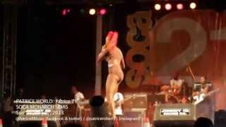 PATRICE WORLD: T&T Carnival 2013 [FANTASY SALYBIA & SOCA MONARCH SEMIS]