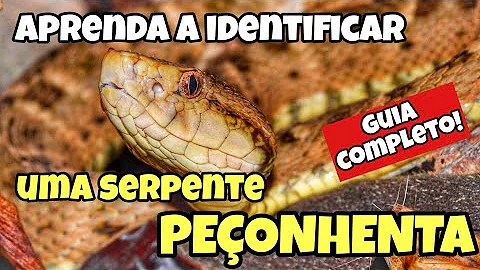 Qual o tipo de dentição das cobras?