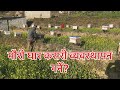 मौरी घार कसरी व्यवस्थापन गर्न सकिन्छ पुस महीनामा