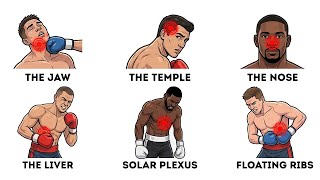 Every Lethal Pressure Point In Boxing That Works Explained In 13 Minutes