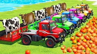TRANSPORT COWS & GRAPEFRUITS WITH MINI TRUCKS & FENDT TRACTORS  Farming Simulator 22