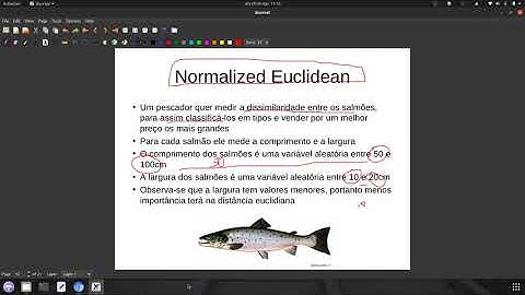 Machine Learning - L05b Distância Euclidiana normalizada