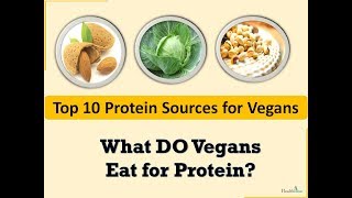 Top 10 protein sources for vegans ...