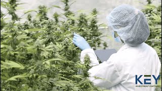 Cannabis Unlocked: Chicago Cannabis Round Table
