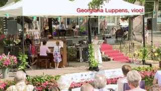 Zuiderhavendijk concert 2013 Enkhuizen - matinee