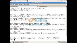 49 043 3 1 hotback restore controlfile