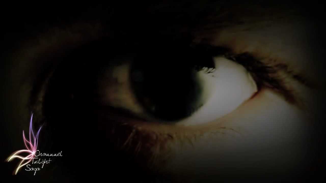 Klaus& Elena || Because you're Petrova Doppelgänger. [AU]