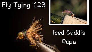 Iced Caddis Pupa