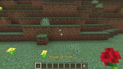 Hypixel Skyblock Flower of Truth Recreation in Vanilla Minecraft