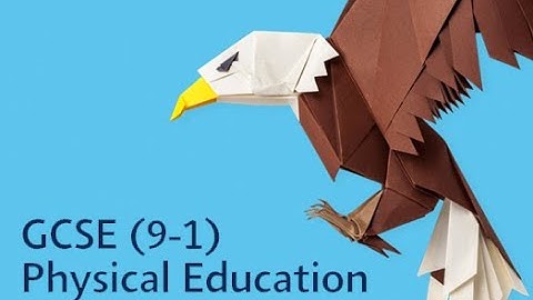 Pearson Edexcel GCSE PE: Summer 2019 Feedback - Components 1 and 2