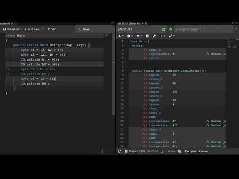 Code Snippet #6 | Byte Type | The Java Programming Language