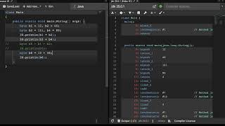 Code Snippet #6 | Byte Type | The Java Programming Language