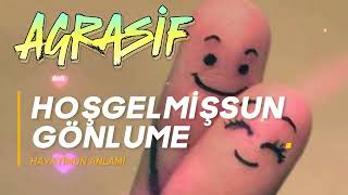 Agrasi̇f - .Sevduğum Diyeceğum .(Yapay Ses)