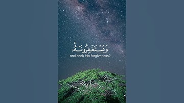 🌿تلاوه من سوره المائده🌿 القارئ عبدالرحمن مسعد🌿