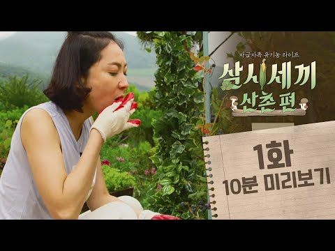   TvN 유튜브 멤버십 OPEN 삼시세끼 산촌편 1화 10분미리보기