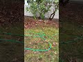 Out in Southington, Connecticut unclogging a backed-up residential sewer line. In the video, you...