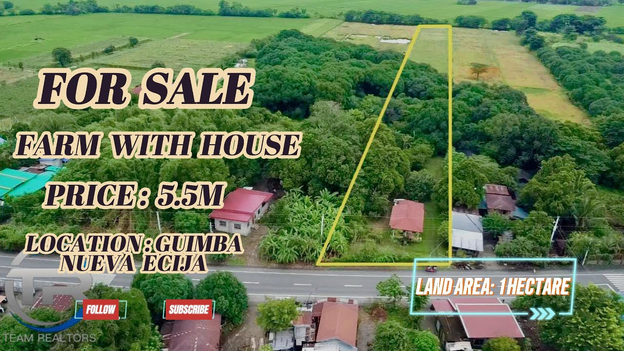 (V467) 1 HECTARE MANGO/RICE FARM WITH HOUSE, ALONG NATIONAL HIGHWAY, NEAR TOWN PROPER