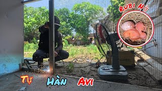 Download Lagu Tự Hàn Cửa Avi Vui Mừng Khi Ổ Chào Mào Rubi Đổi Trứng Đã Nở / HIỆP CUỘI TV MP3 Download Lagu Tự Hàn Cửa Avi Vui Mừng Khi Ổ Chào Mào Rubi Đổi Trứng Đã Nở / HIỆP CUỘI TV MP3