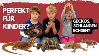Die 6 BESTEN Reptilien für Kinder & Familien 🦎 DAS empfiehlt Stefan!