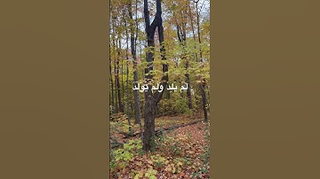 #قرآن #قران_كريم #tilawat #راحة_نفسية #تلاوة_خاشعة #تلاوة_هادئة
