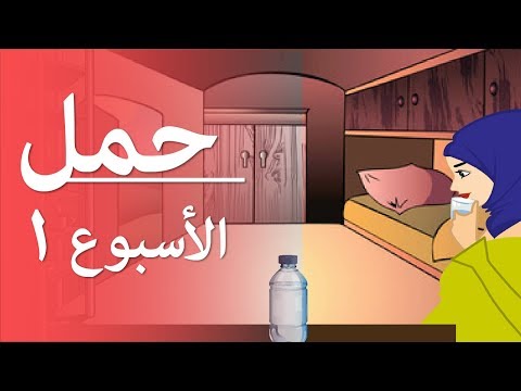 فيديو: كيف يكون أسبوع من الحمل