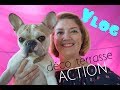 Vlog  dco terrasse avec achats action