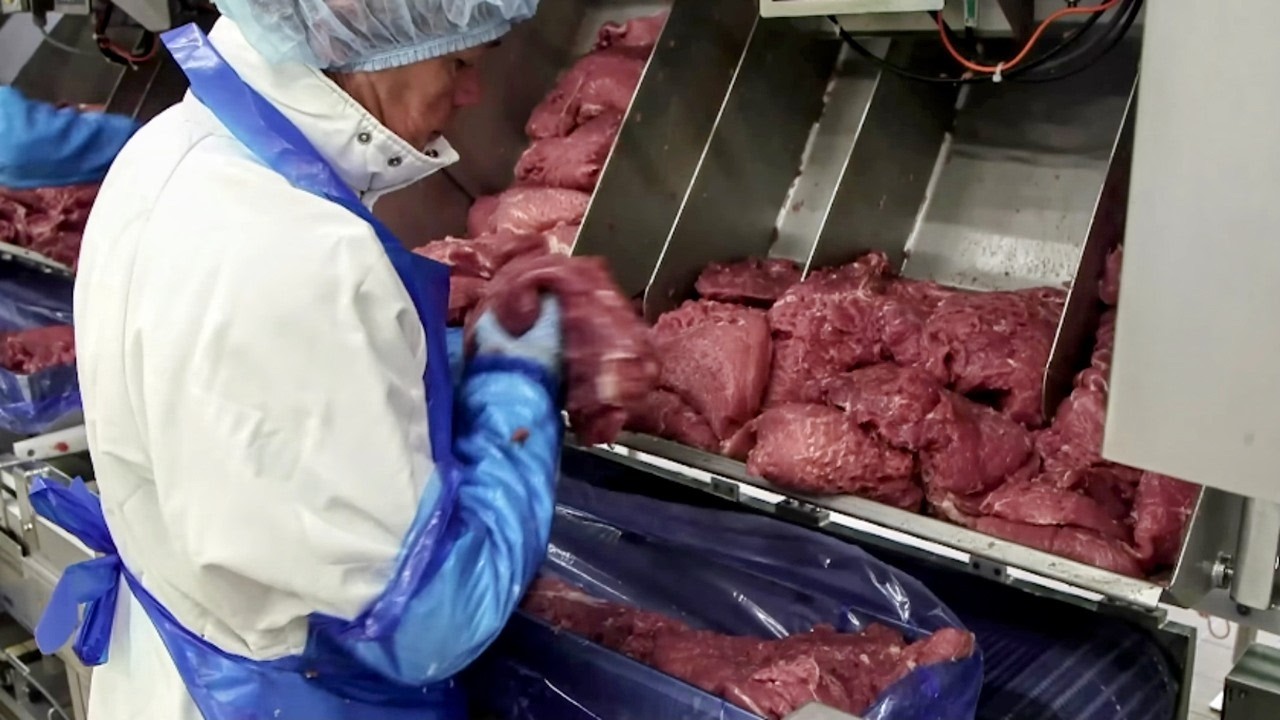 Что случилось с желтой курицей и розовой ветчиной?