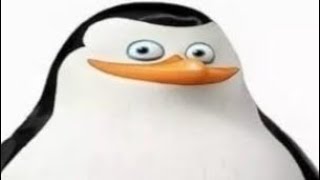 Aquamarine By Lemons Gd