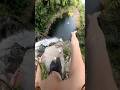 INSANE Waterfall Jump