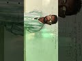 Live highlight